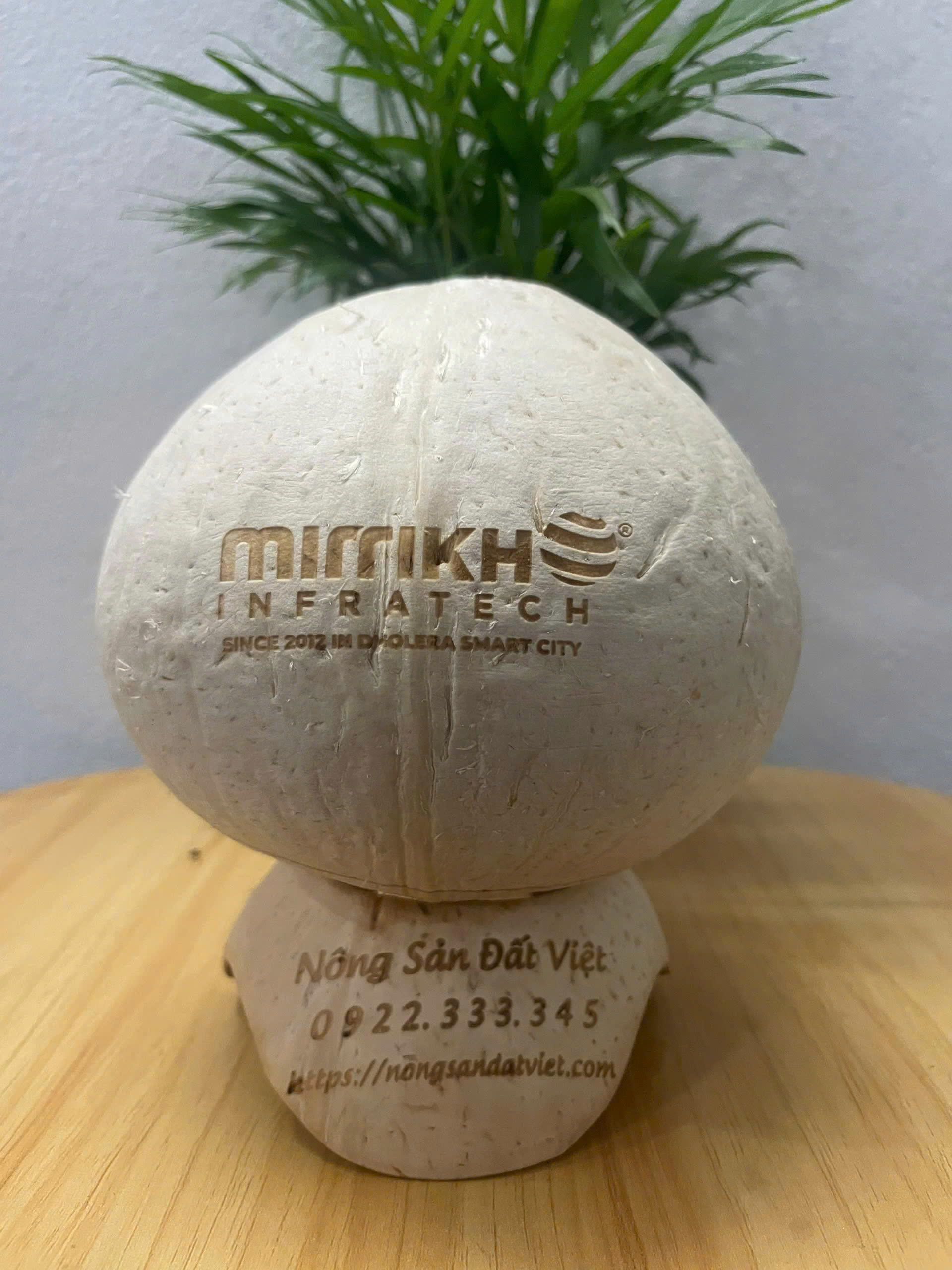 Khắc logo trên dừa