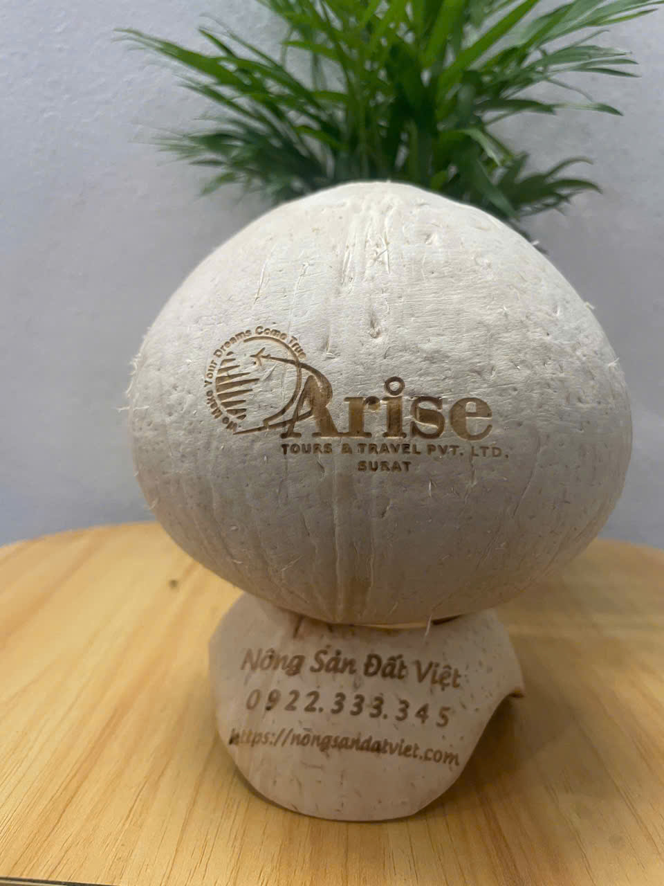 E-commerce Vinaconut