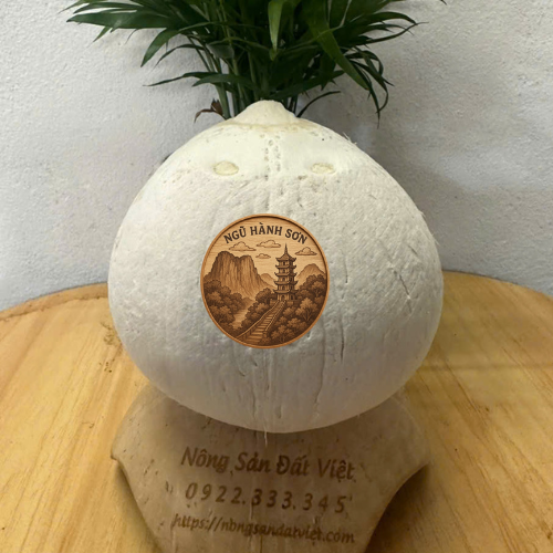 Dừa khắc logo mẫu 2