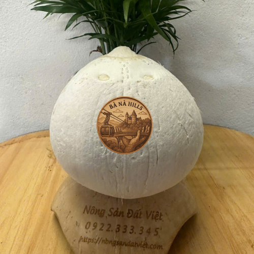 Dừa khắc logo mẫu 3