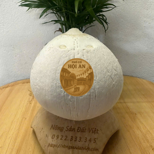 Sỉ lẻ dừa trọc Hội An