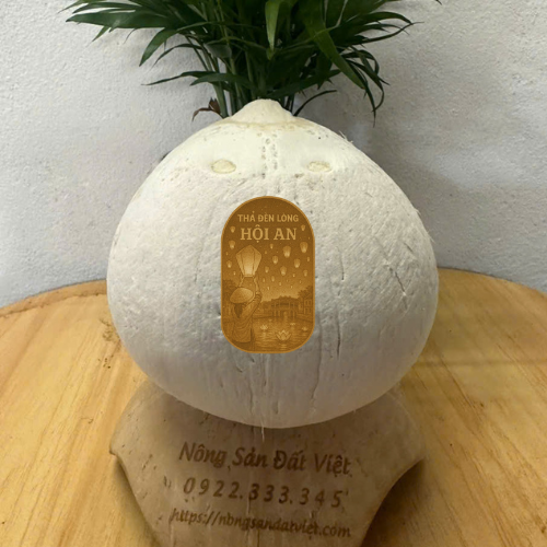 Dừa gọt 2 đầu