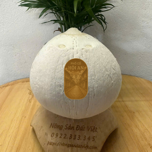 Dừa tươi chọn lọc