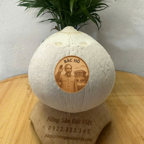 Dừa gọt 2 đầu