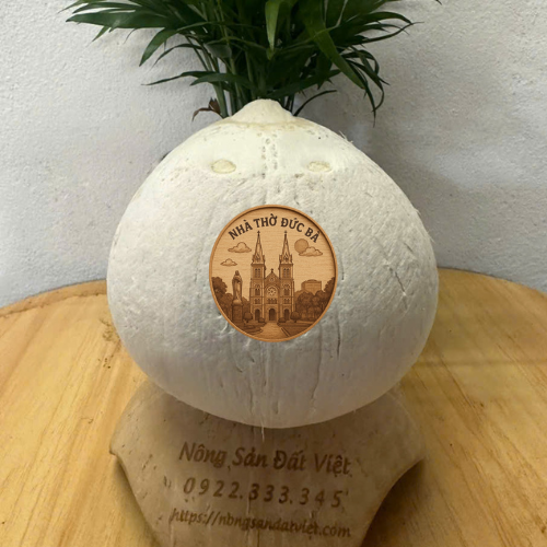 Dừa tươi chọn lọc