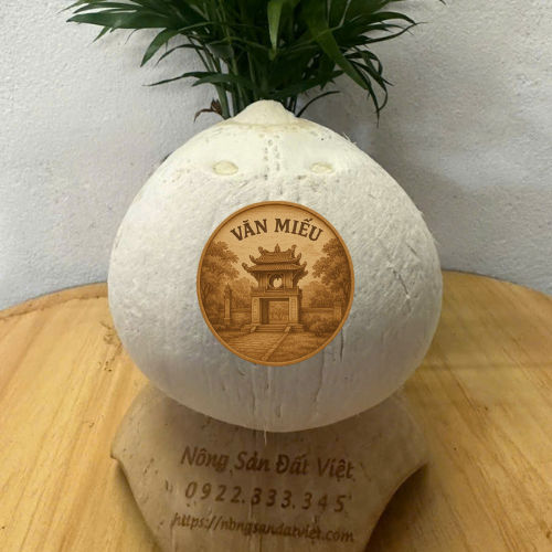 Dừa tươi chọn lọc