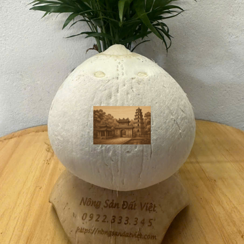 Sỉ lẻ dừa trọc Huế