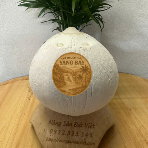 Dừa gọt 2 đầu