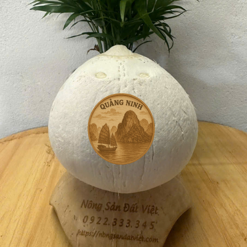 Dừa gọt 2 đầu