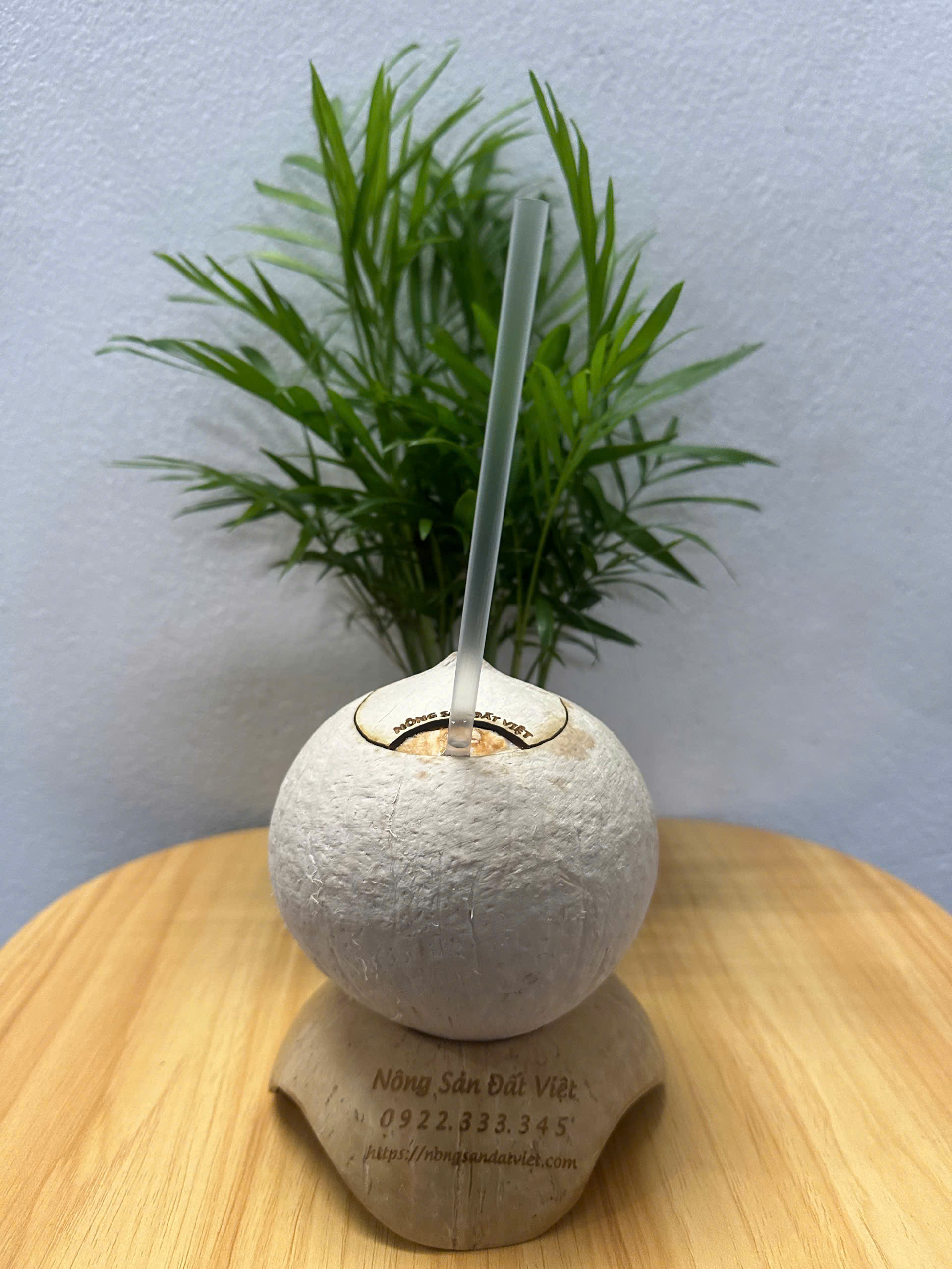 Mô hình kinh doanh F&B từ Dừa trọc nắp khoen