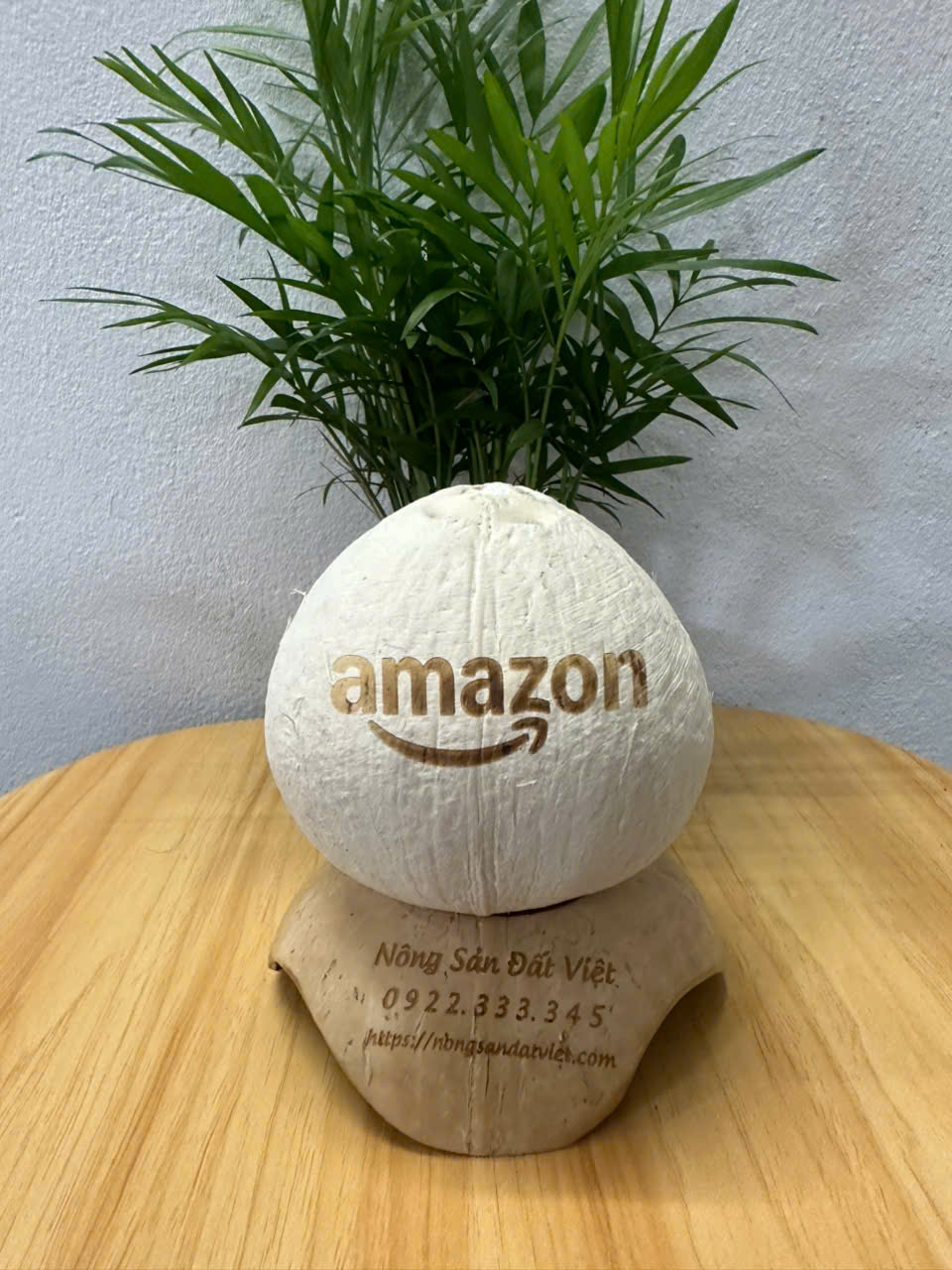 Dừa trọc đẹp mắt