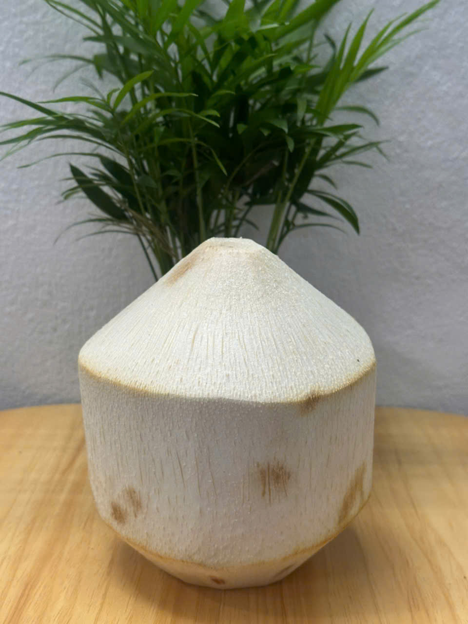 Dừa khắc logo theo yêu cầu